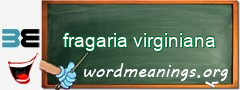 WordMeaning blackboard for fragaria virginiana